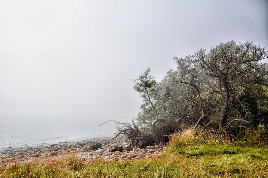 Share Your Pictures Of Misty Cities And Landscapes Share Your Pictures Of Misty Cities And Landscapes