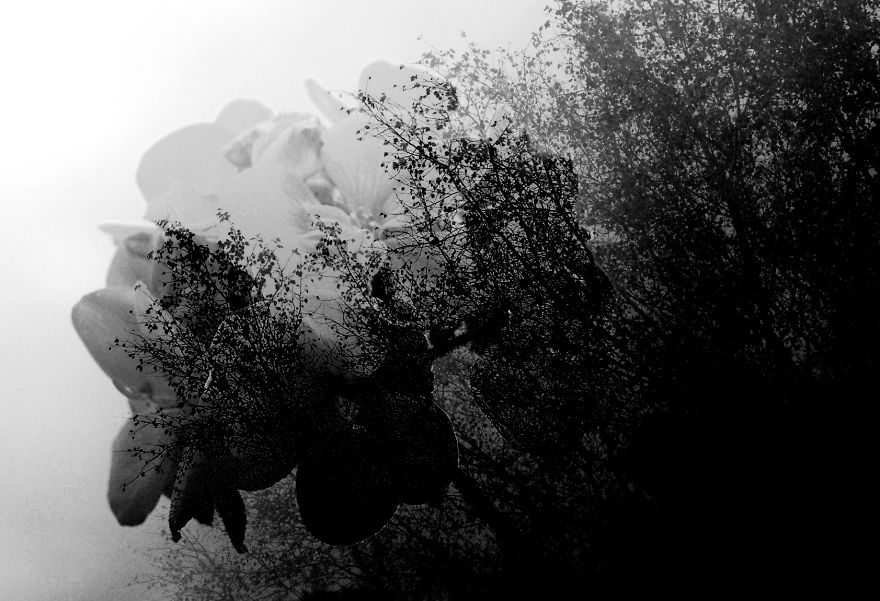 Share Your Pictures Of Misty Cities And Landscapes Share Your Pictures Of Misty Cities And Landscapes