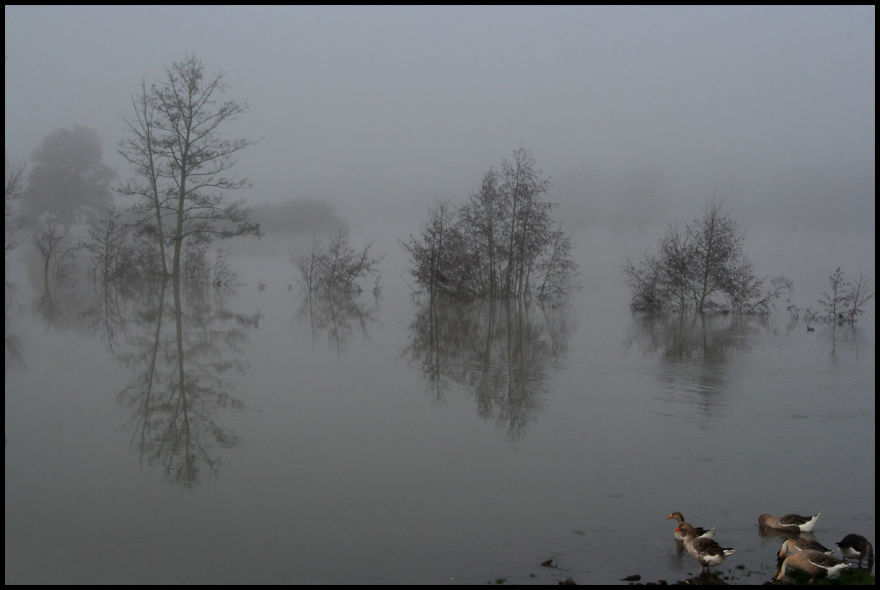 Share Your Pictures Of Misty Cities And Landscapes Share Your Pictures Of Misty Cities And Landscapes