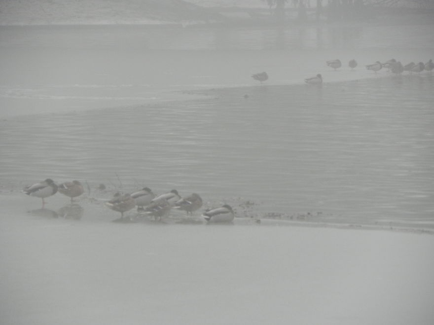 Share Your Pictures Of Misty Cities And Landscapes Share Your Pictures Of Misty Cities And Landscapes