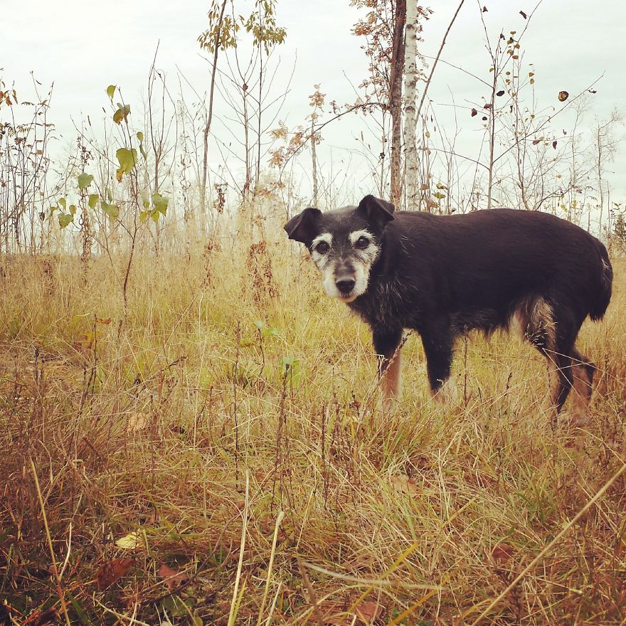 128 Animals Enjoying The Magic Of Autumn