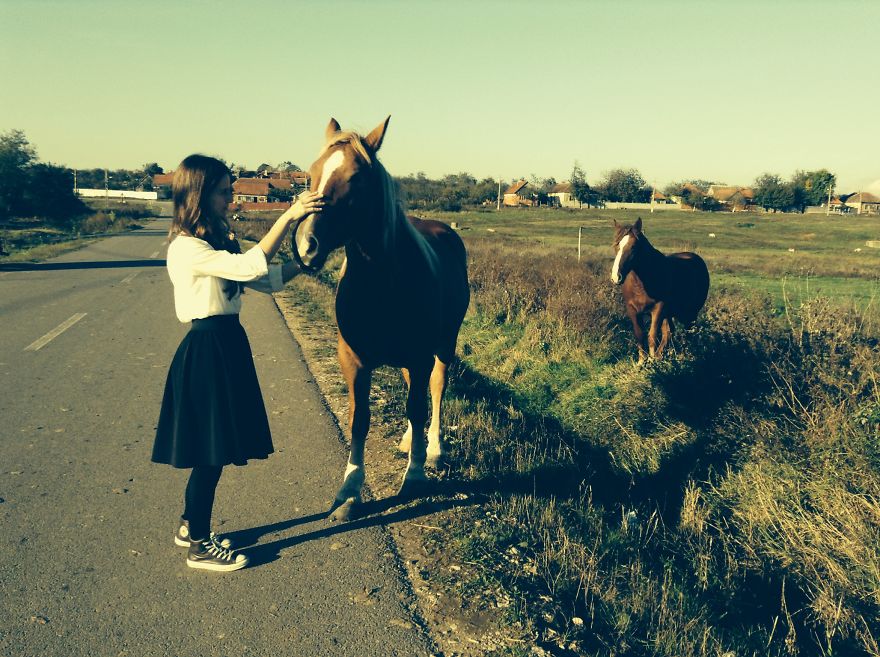 128 Animals Enjoying The Magic Of Autumn