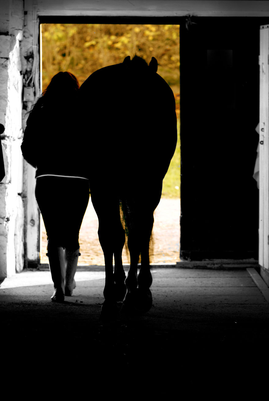 128 Animals Enjoying The Magic Of Autumn