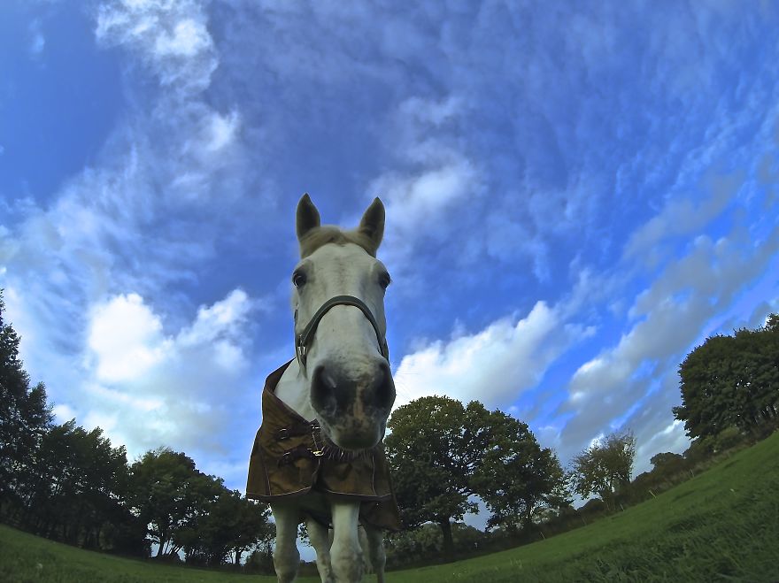 128 Animals Enjoying The Magic Of Autumn