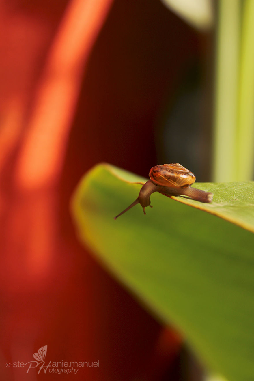 128 Animals Enjoying The Magic Of Autumn