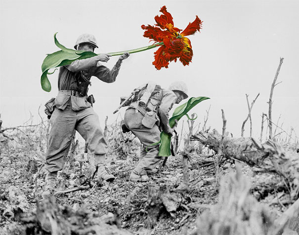 Artist Replaces Guns With Flowers In Historic Photos Artist Replaces Guns With Flowers In Historic Photos