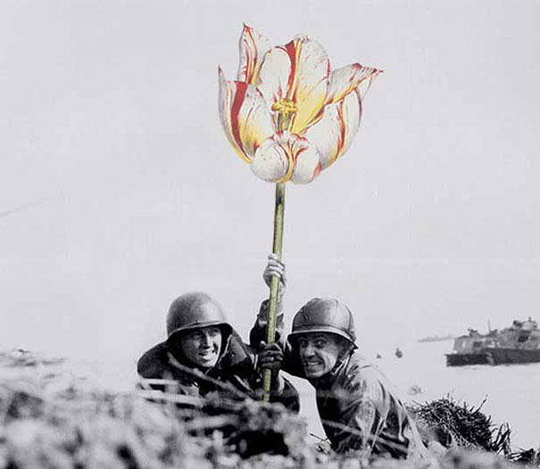 Artist Replaces Guns With Flowers In Historic Photos Artist Replaces Guns With Flowers In Historic Photos