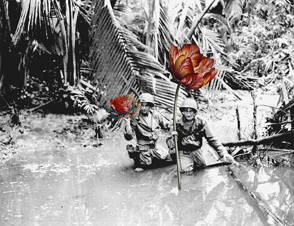 Artist Replaces Guns With Flowers In Historic Photos Artist Replaces Guns With Flowers In Historic Photos
