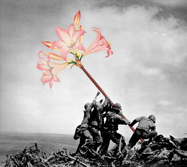 Artist Replaces Guns With Flowers In Historic Photos Artist Replaces Guns With Flowers In Historic Photos