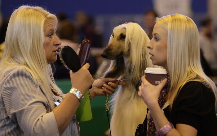 133 Things That Are Hilariously Similar To Each Other 133 Things That Are Hilariously Similar To Each Other