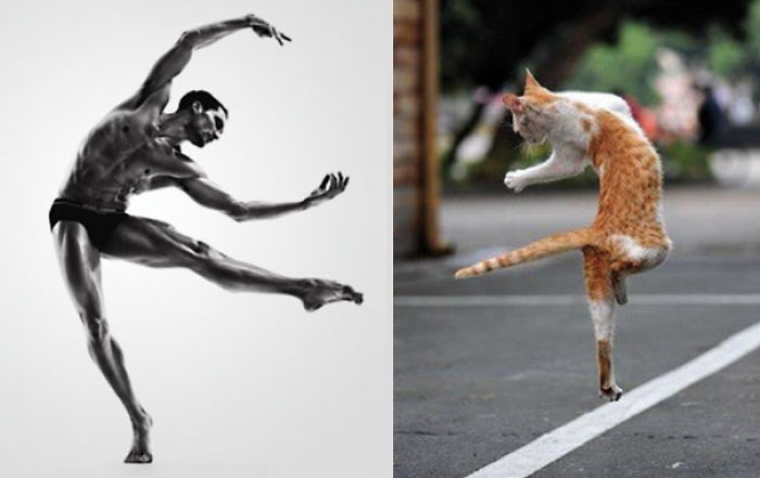 133 Things That Are Hilariously Similar To Each Other 133 Things That Are Hilariously Similar To Each Other