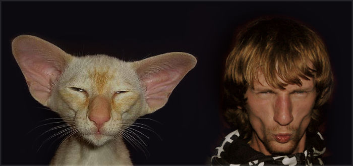 133 Things That Are Hilariously Similar To Each Other 133 Things That Are Hilariously Similar To Each Other