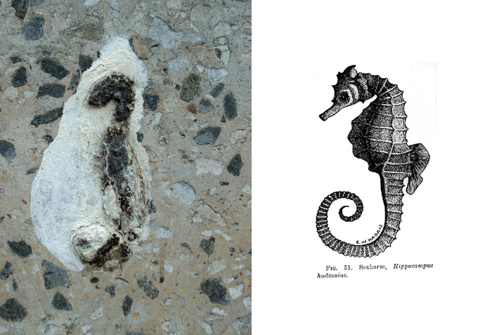 133 Things That Are Hilariously Similar To Each Other 133 Things That Are Hilariously Similar To Each Other