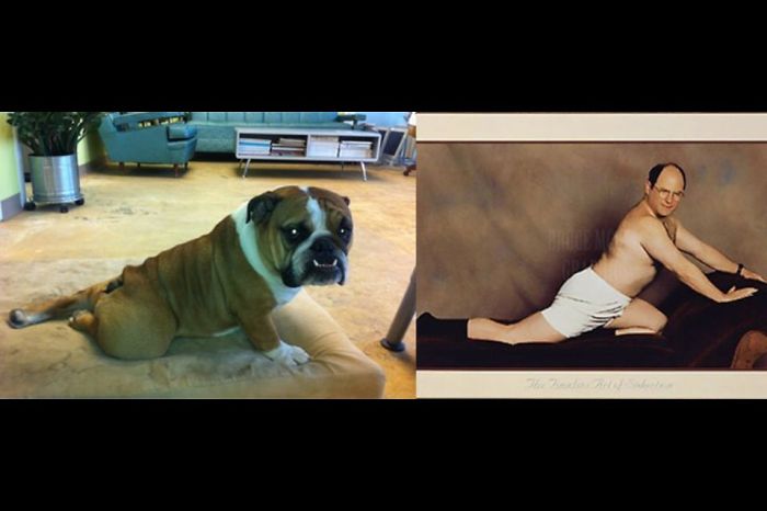 133 Things That Are Hilariously Similar To Each Other 133 Things That Are Hilariously Similar To Each Other