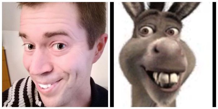 133 Things That Are Hilariously Similar To Each Other 133 Things That Are Hilariously Similar To Each Other