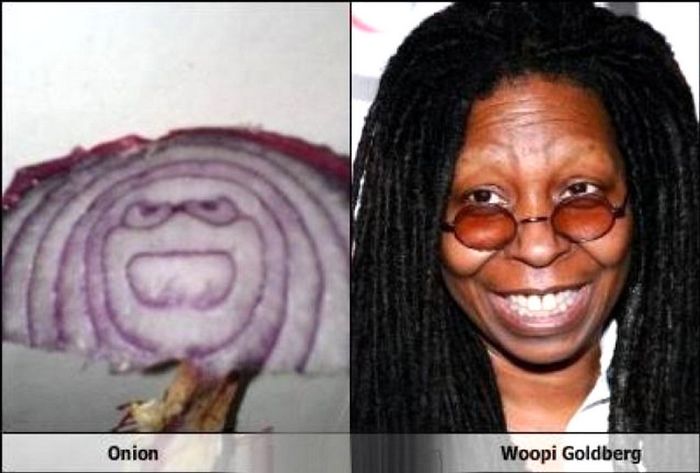 133 Things That Are Hilariously Similar To Each Other 133 Things That Are Hilariously Similar To Each Other