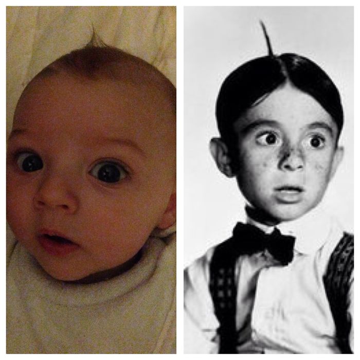 133 Things That Are Hilariously Similar To Each Other 133 Things That Are Hilariously Similar To Each Other