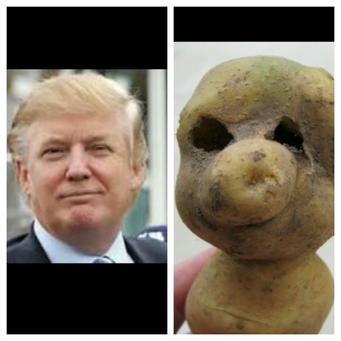 133 Things That Are Hilariously Similar To Each Other 133 Things That Are Hilariously Similar To Each Other