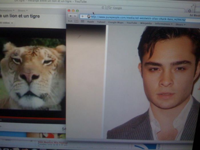 133 Things That Are Hilariously Similar To Each Other 133 Things That Are Hilariously Similar To Each Other