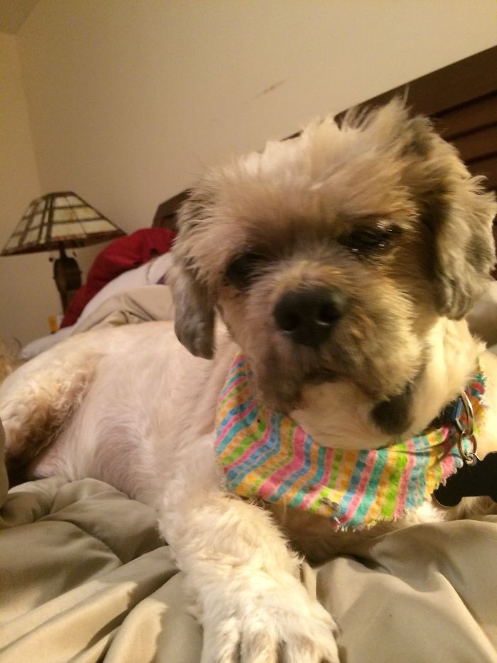 133 Things That Are Hilariously Similar To Each Other 133 Things That Are Hilariously Similar To Each Other