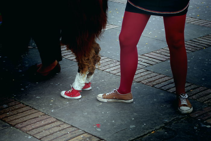 133 Things That Are Hilariously Similar To Each Other 133 Things That Are Hilariously Similar To Each Other