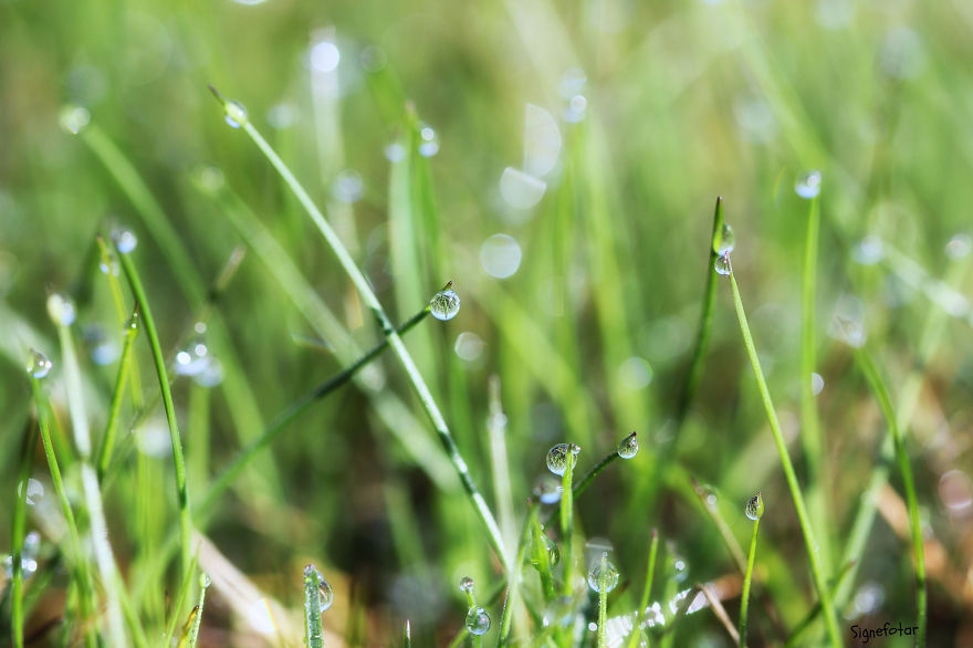 When I Bought A Macro Lens, I’ve Discovered A Whole New World – Snails Look Nice And Spiders Are Cute When I Bought A Macro Lens, I’ve Discovered A Whole New World – Snails Look Nice And Spiders Are Cute