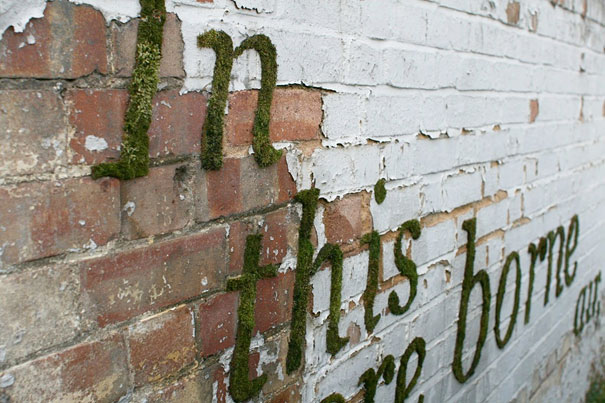 Moss Graffiti: The Coolest DIY Project Ever Moss Graffiti: The Coolest DIY Project Ever