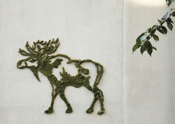 Moss Graffiti: The Coolest DIY Project Ever Moss Graffiti: The Coolest DIY Project Ever