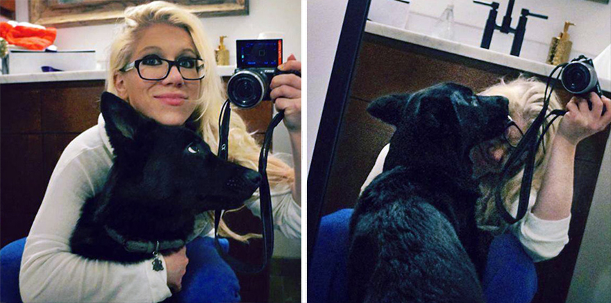 Pet Owners Use Non-Toxic Face Paint To Turn Their Animals Into Creepy Skeletons For Halloween Pet Owners Use Non-Toxic Face Paint To Turn Their Animals Into Creepy Skeletons For Halloween