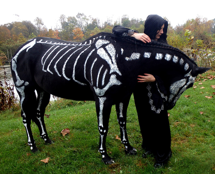 Pet Owners Use Non-Toxic Face Paint To Turn Their Animals Into Creepy Skeletons For Halloween Pet Owners Use Non-Toxic Face Paint To Turn Their Animals Into Creepy Skeletons For Halloween