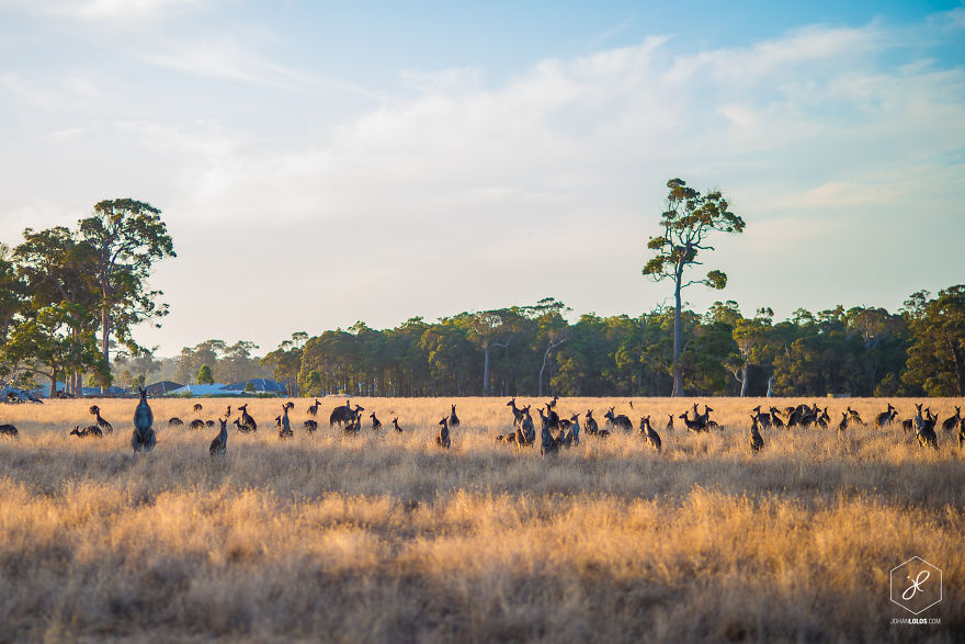 I Traveled 40,000km Around Australia And Brough Back These Stunning Photos