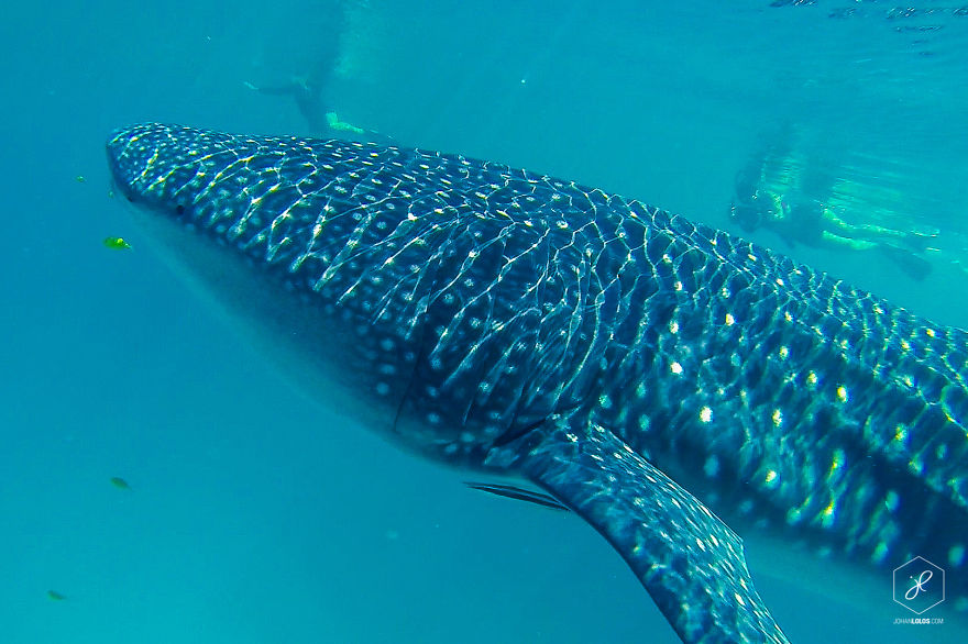 I Traveled 40,000km Around Australia And Brough Back These Stunning Photos