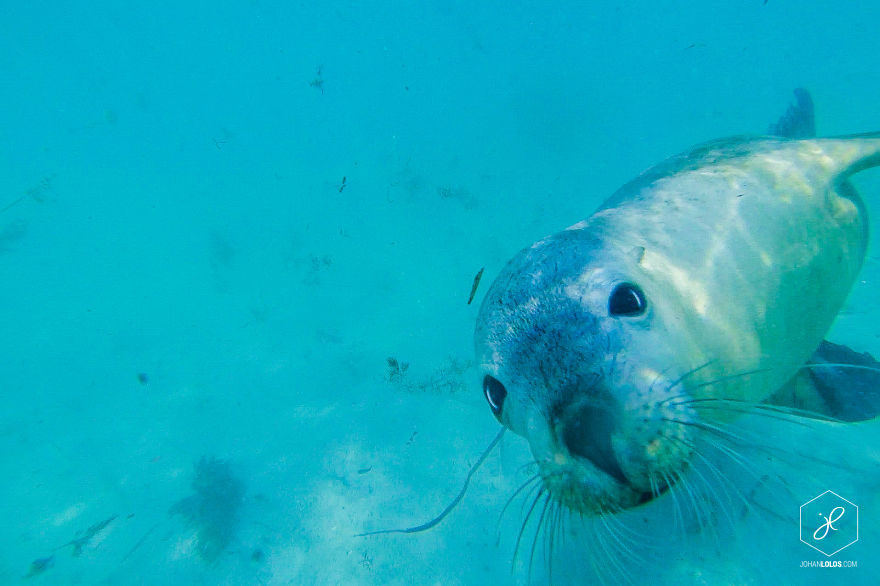 I Traveled 40,000km Around Australia And Brough Back These Stunning Photos