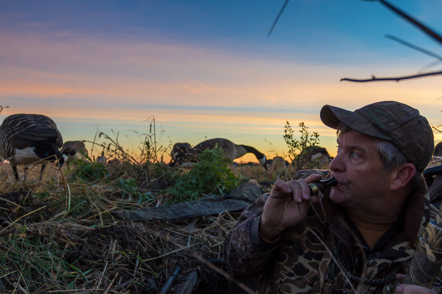 Early Morning Hunt Early Morning Hunt