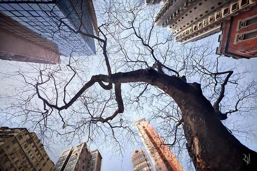 Vertical Horizon In Hong Kong By Romain Jacquet-Lagreze
