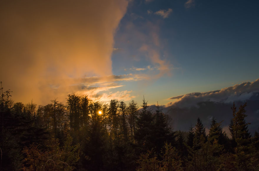 May The Forest Be With You: Post Your Favourite Pictures Of Forests