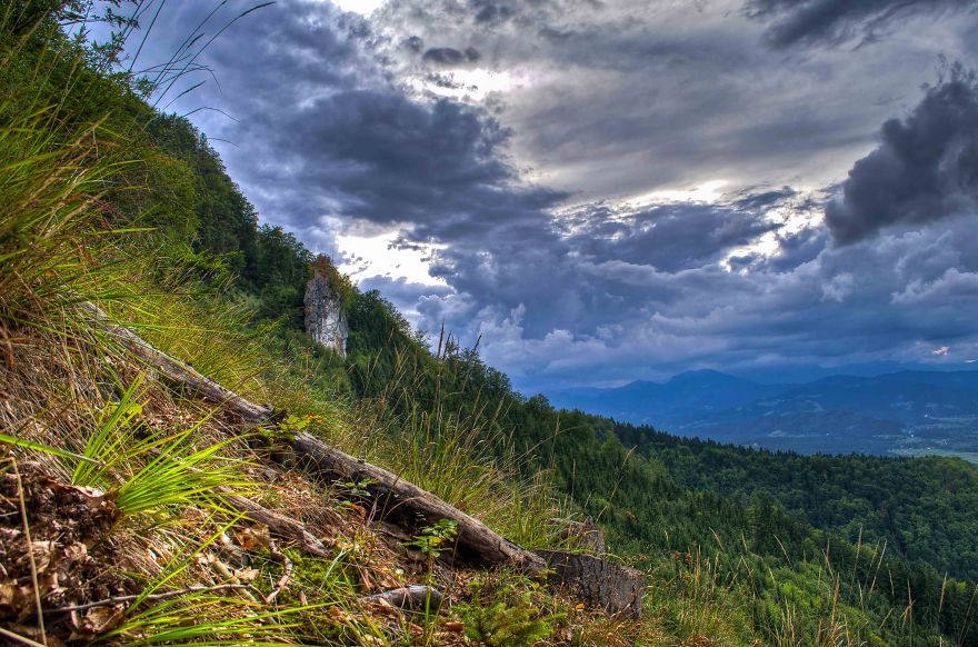 May The Forest Be With You: Post Your Favourite Pictures Of Forests