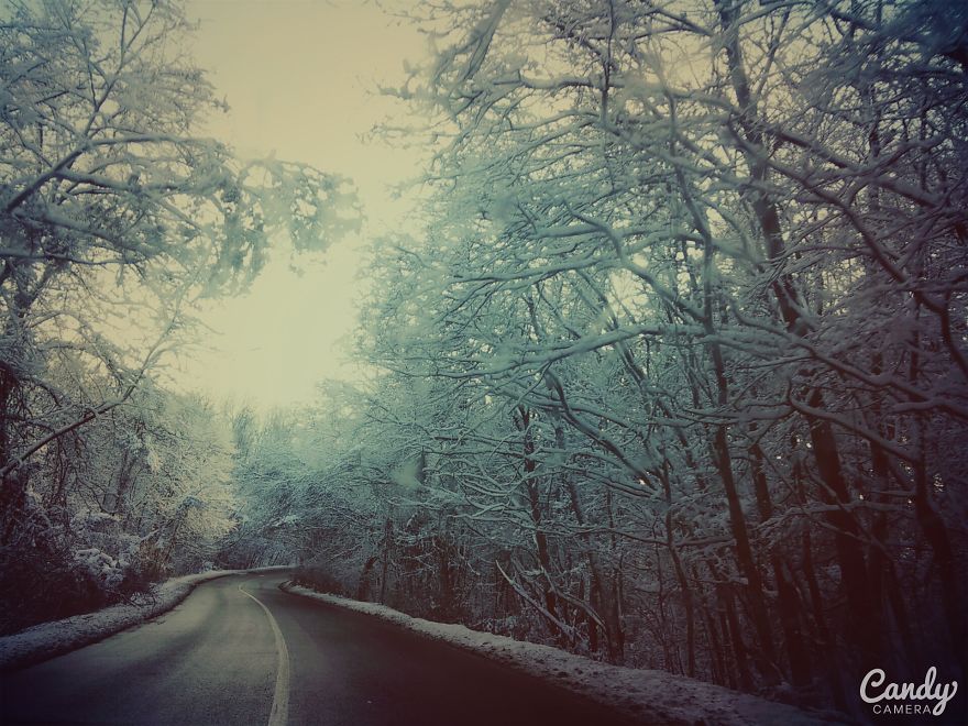 May The Forest Be With You: Post Your Favourite Pictures Of Forests