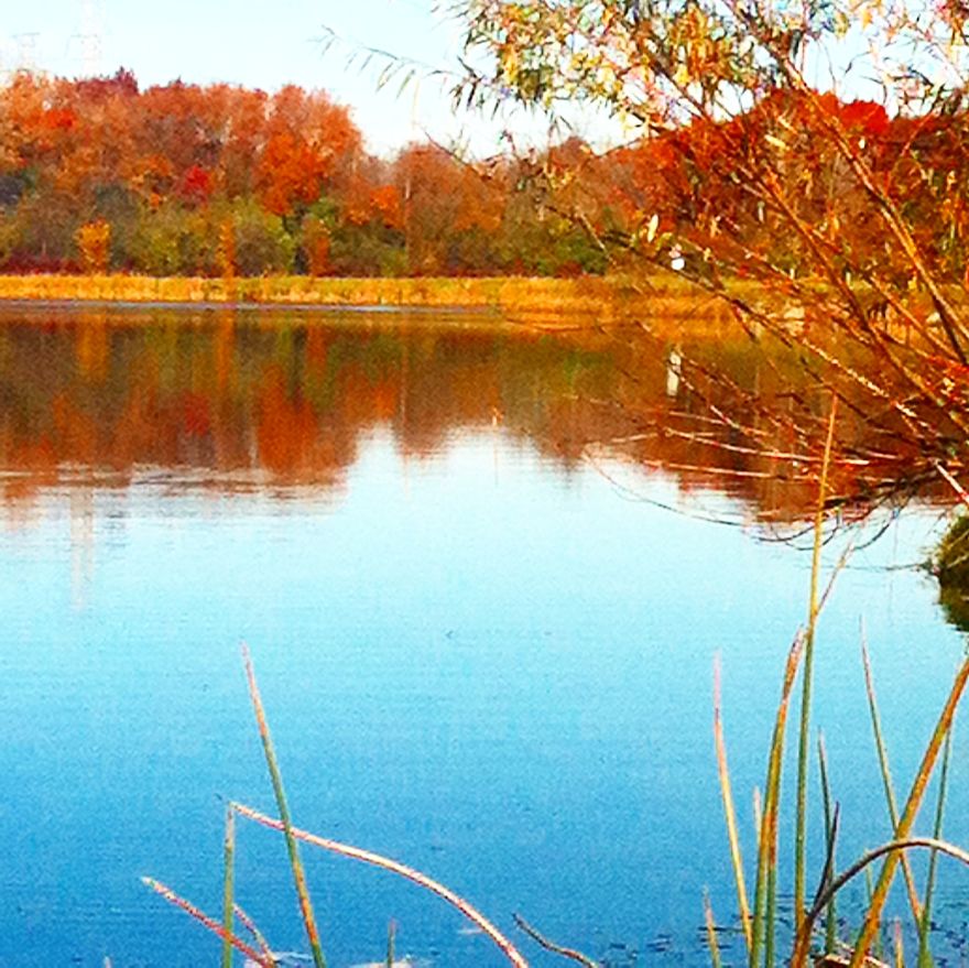 May The Forest Be With You: Post Your Favourite Pictures Of Forests