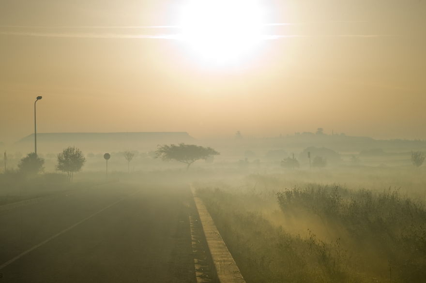 May The Forest Be With You: Post Your Favourite Pictures Of Forests