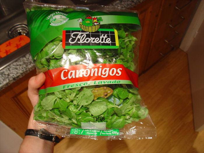 126 Of The Worst Packaging And Labeling Fails Ever