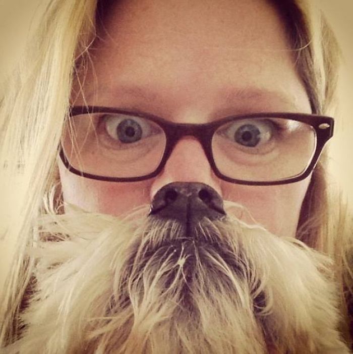 Could You Do Better Than These Dog Smile Selfies?