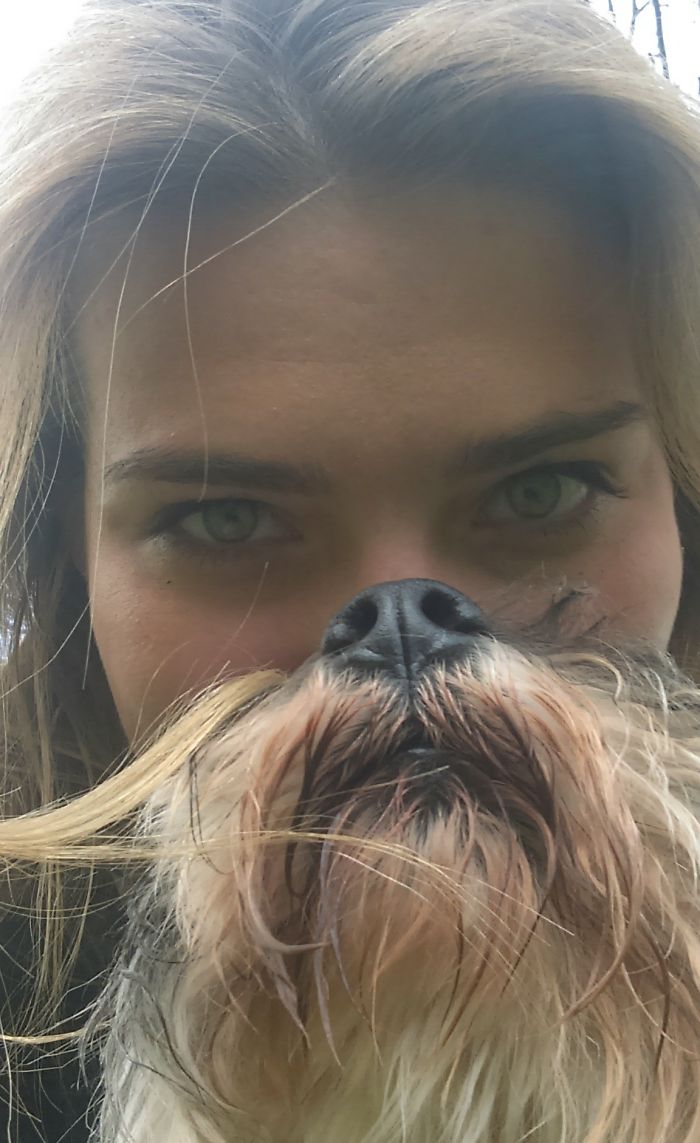 Could You Do Better Than These Dog Smile Selfies?