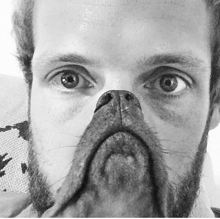 Could You Do Better Than These Dog Smile Selfies?