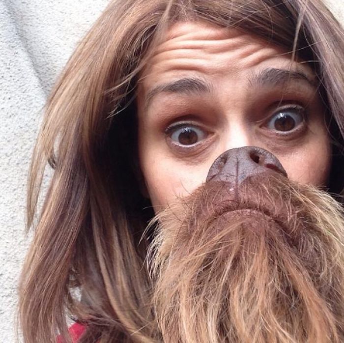 Could You Do Better Than These Dog Smile Selfies?