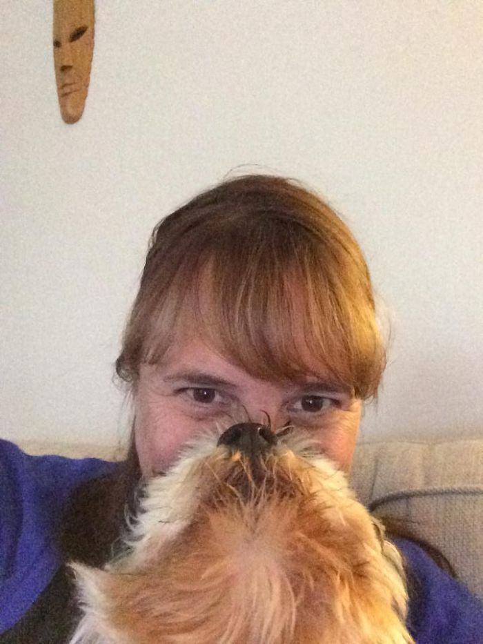 Could You Do Better Than These Dog Smile Selfies?