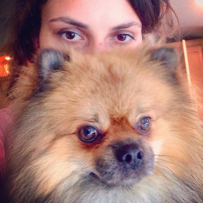 Could You Do Better Than These Dog Smile Selfies?