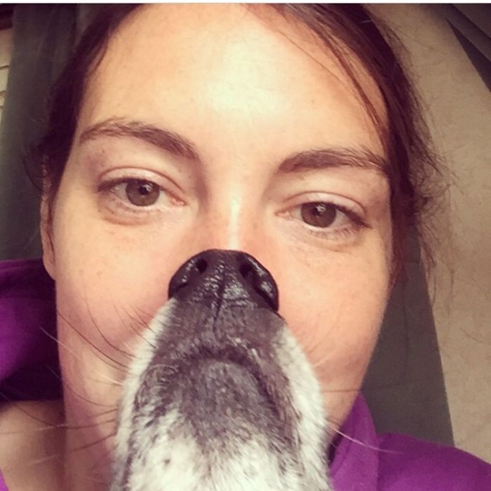 Could You Do Better Than These Dog Smile Selfies?