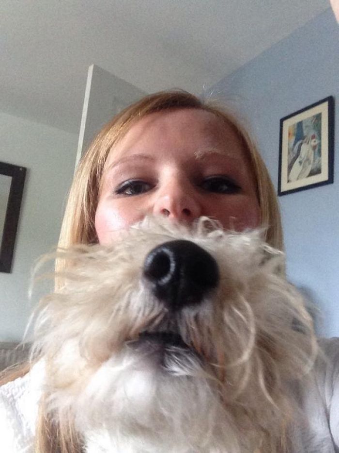 Could You Do Better Than These Dog Smile Selfies?