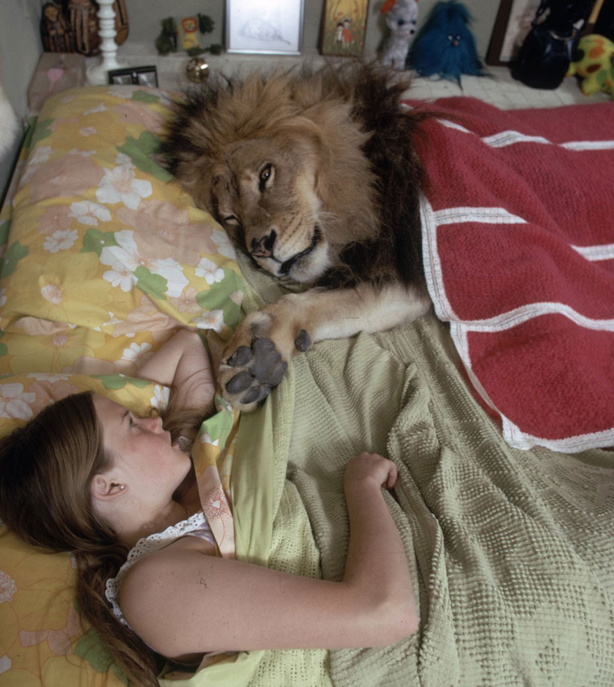 This Family Lived With A Real Lion Back In 1971 This Family Lived With A Real Lion Back In 1971
